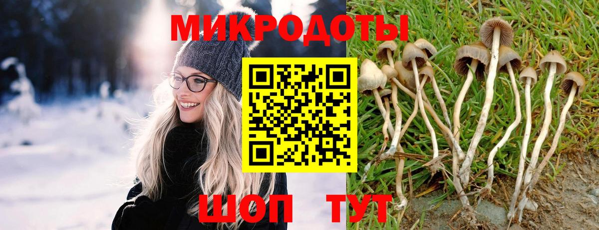 Псилоцибиновые грибы Cubensis  Галлюциногенные грибы Psilocybine cubensis  Чапаевск  купить наркоту  Вход с VPN 