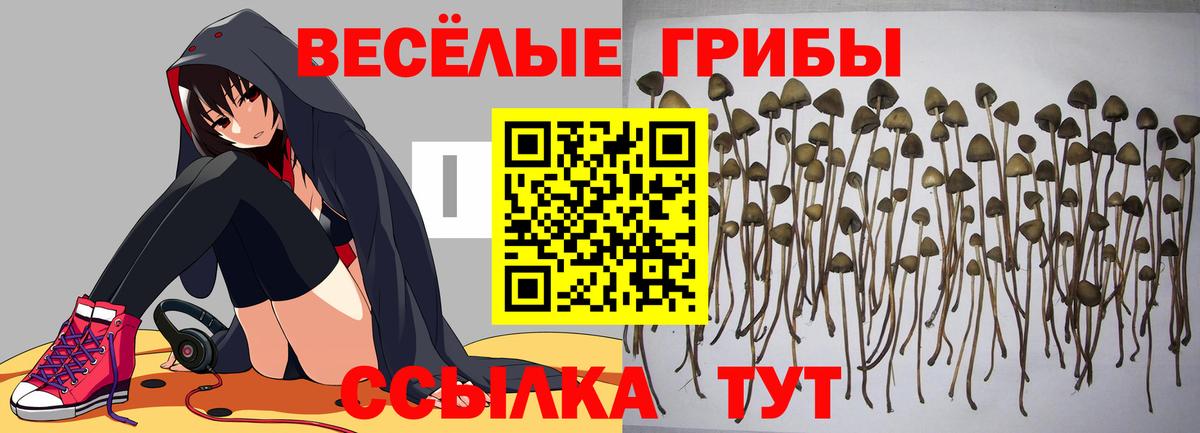Галлюциногенные грибы мухоморы Чапаевск